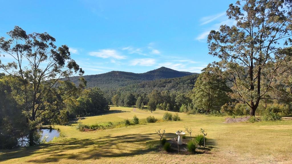 Hunter Valley Kangaroo Retreat with 60+ Kangaroos Pet Policy