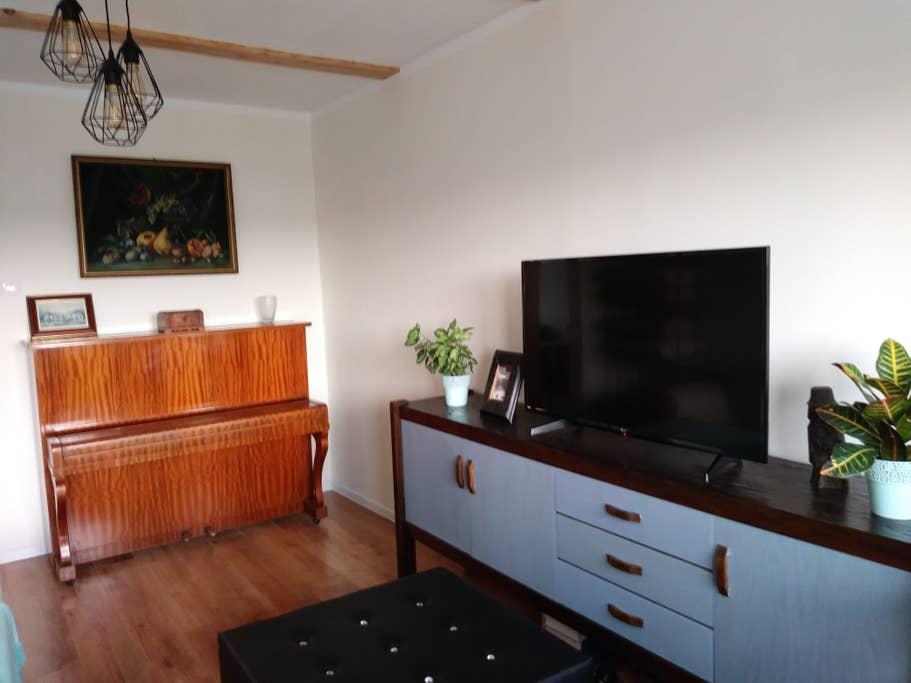 Pet Friendly Tychy Airbnb Rentals