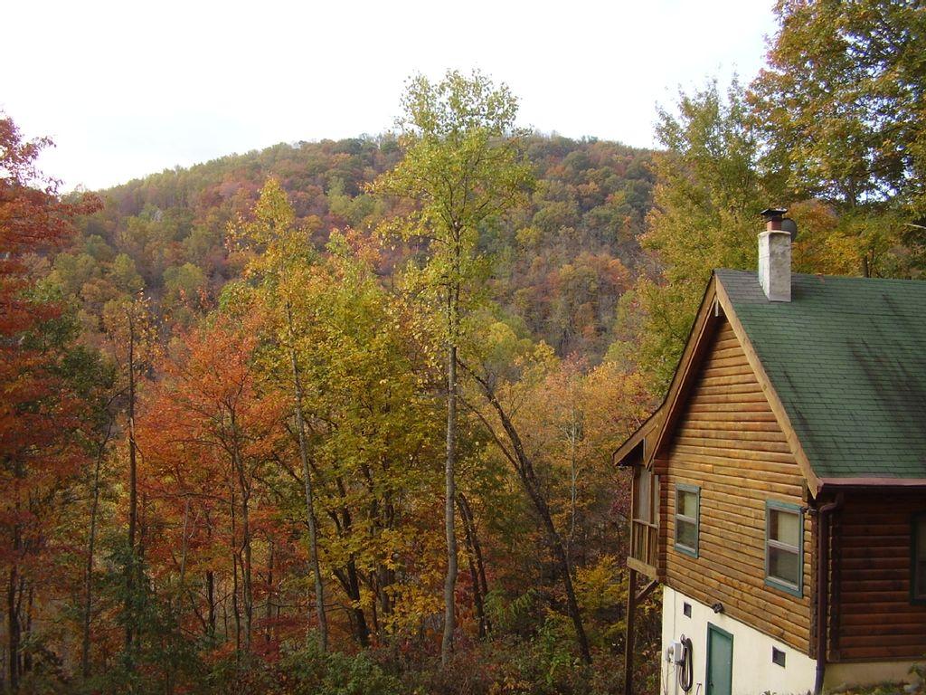 Pet Friendly Vacation Rentals In Blowing Rock Nc Bringfido