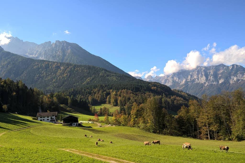 Pet Friendly Ramsau bei Berchtesgaden Airbnb Rentals