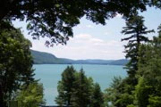 Pet Friendly Glimmerglass State Park Campground