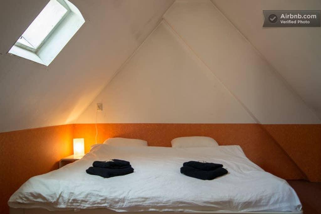 Pet Friendly Schiphol Airbnb Rentals