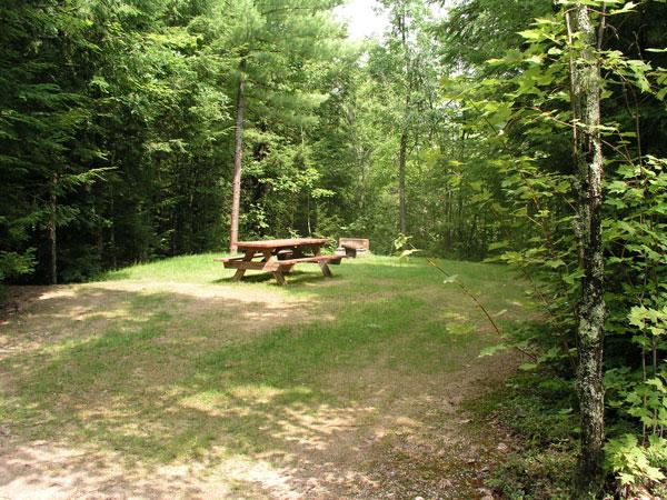 Granger Pond Camping Area Pet Policy