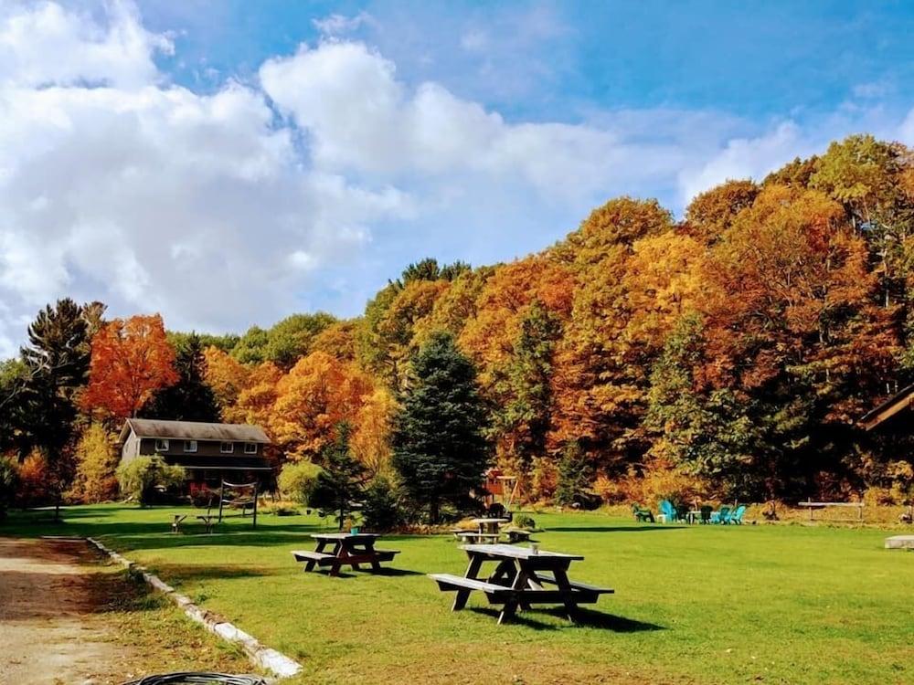 Riverside Motel Dwight Pet Policy