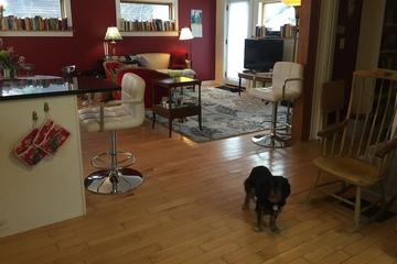 Pet Friendly Hotels In Lebanon Nh Bringfido