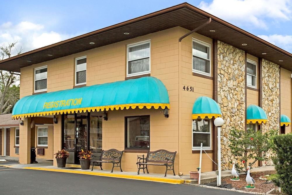 Pet Friendly Knights Inn Kissimmee