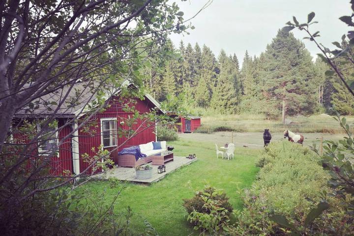 Pet Friendly Hudiksvall Airbnb Rentals