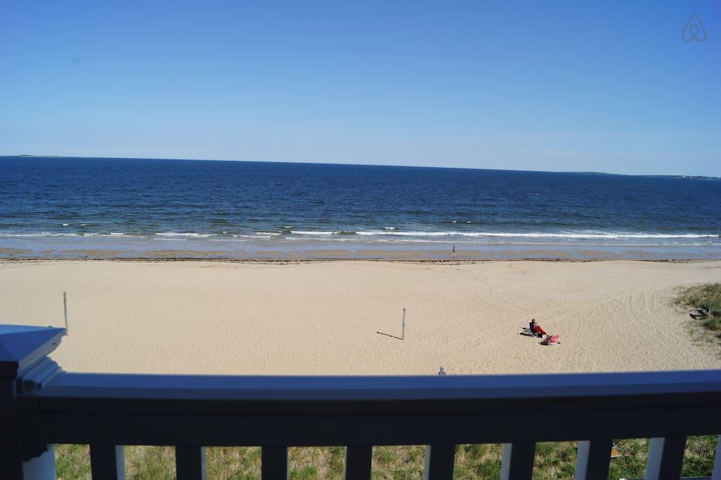 Old Orchard Beach Airbnb Rentals Pet Policy