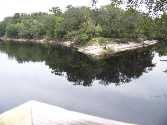 Pet Friendly Suwannee River State Park Campground