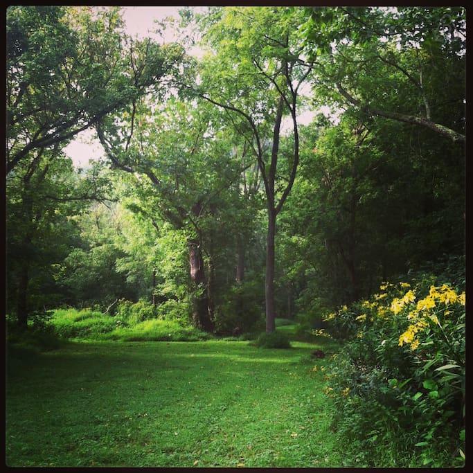 Purcellville Airbnb Rentals Pet Policy