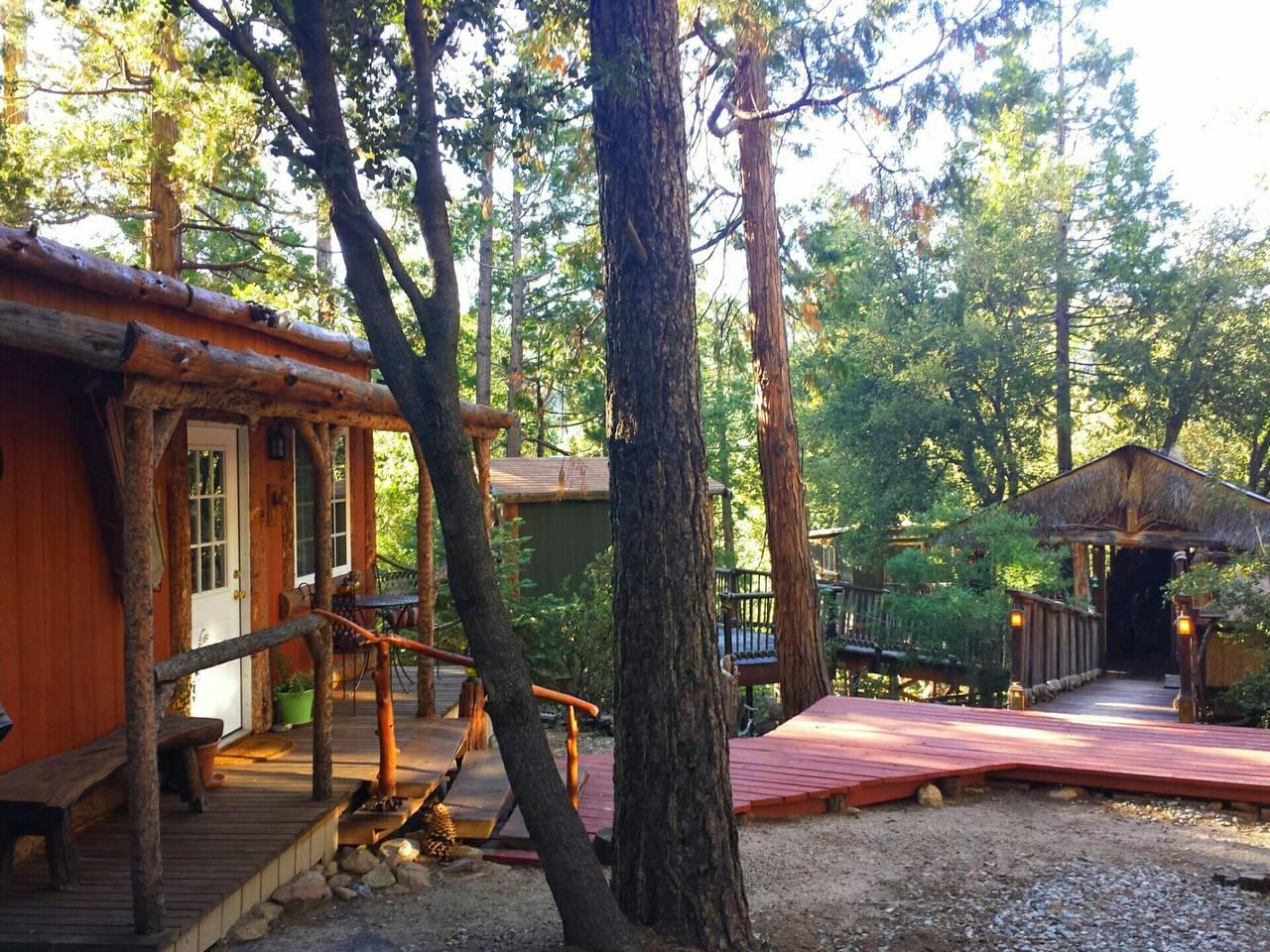 Pet Friendly Vacation Rentals In Idyllwild Ca Bringfido