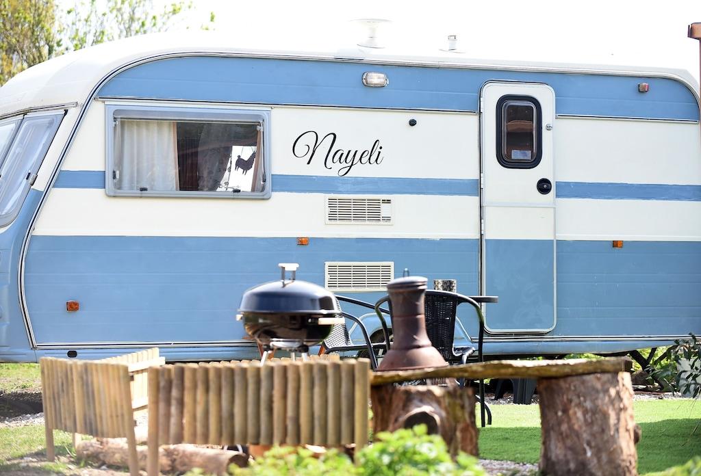 Pet Friendly Glamping With Llamas in Wisbech Camper