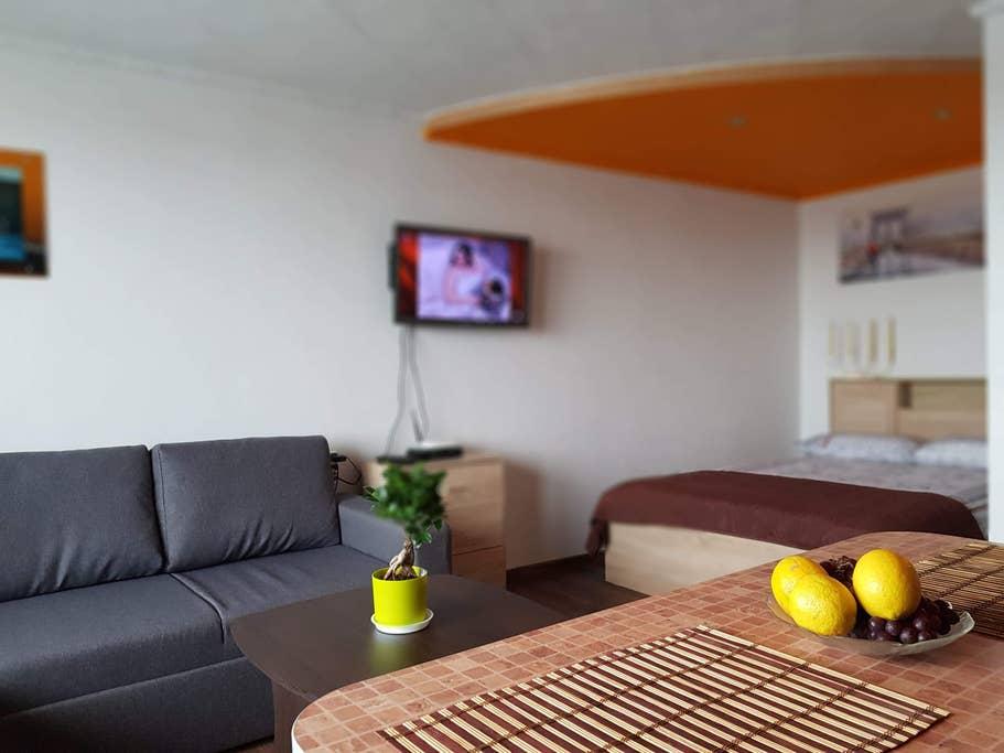 Pet Friendly Panevesys Airbnb Rentals