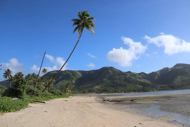Pet Friendly Kadavu Island Airbnb Rentals