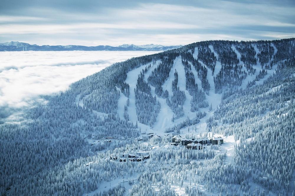 Pet Friendly The Ritz-Carlton, Lake Tahoe