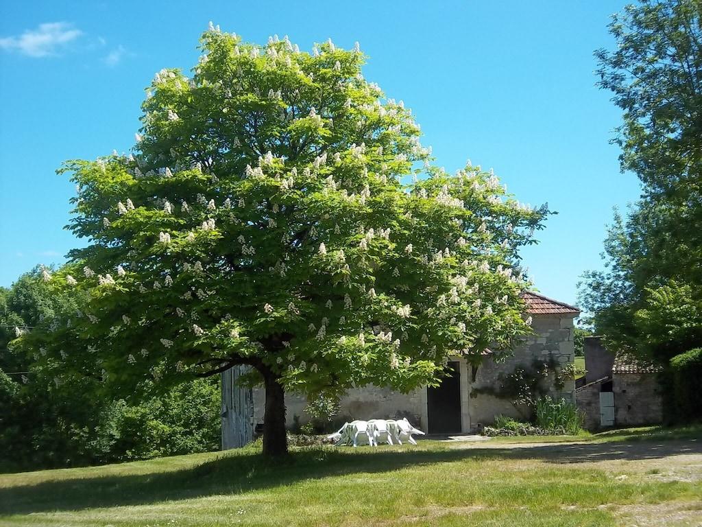 Pet Friendly Authentic Quercynoise Farm in Cahors Vineyard