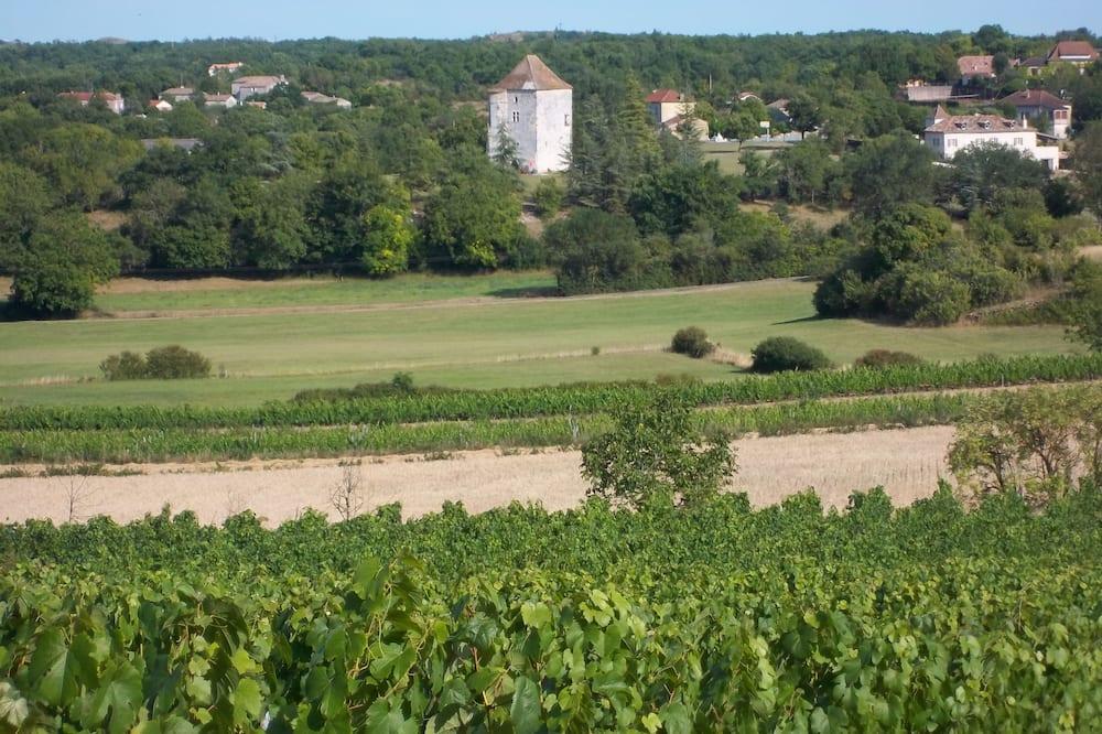 Pet Friendly Authentic Quercynoise Farm in Cahors Vineyard