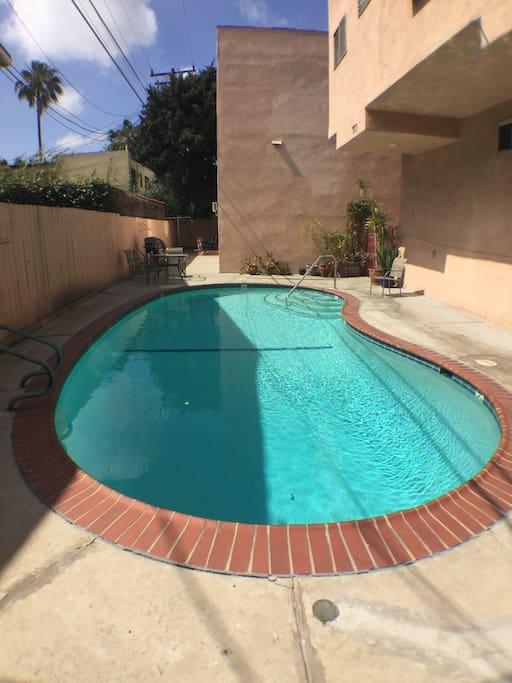 Pet Friendly West Hollywood Airbnb Rentals