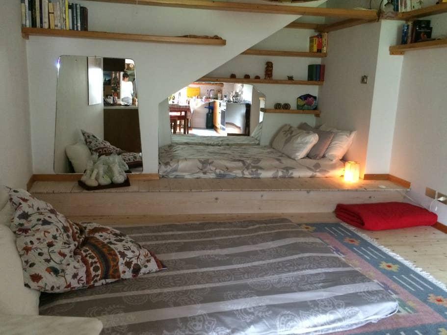 Pet Friendly Molina Di Ledro Airbnb Rentals