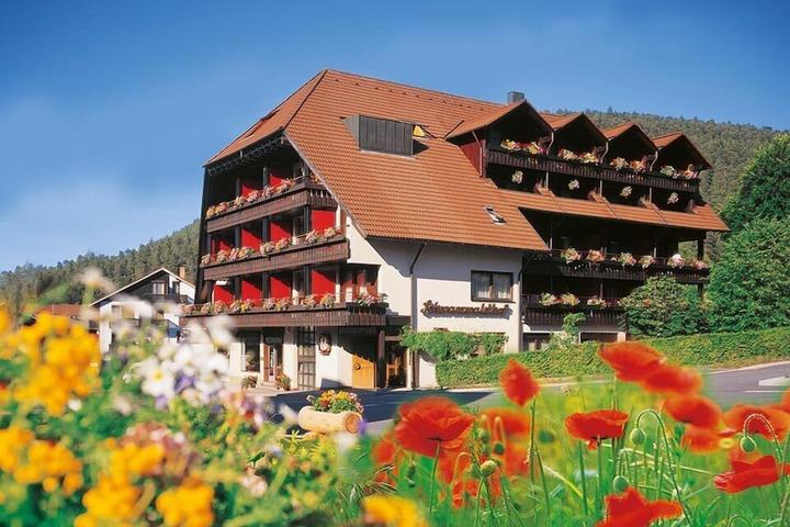 Pet Friendly Hotel Schwarzwaldhof