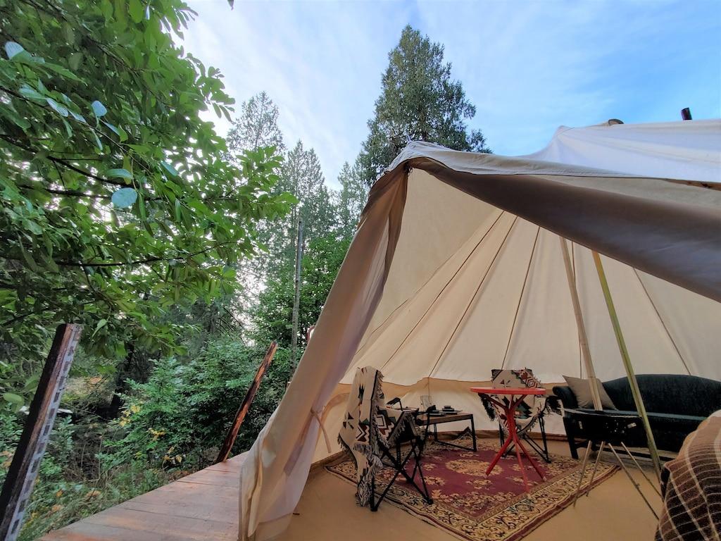 Yurt Glamping with Sauna Pet Policy