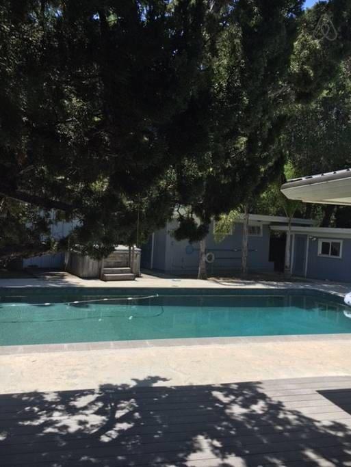 Pet Friendly Hotels In San Anselmo Ca Bringfido