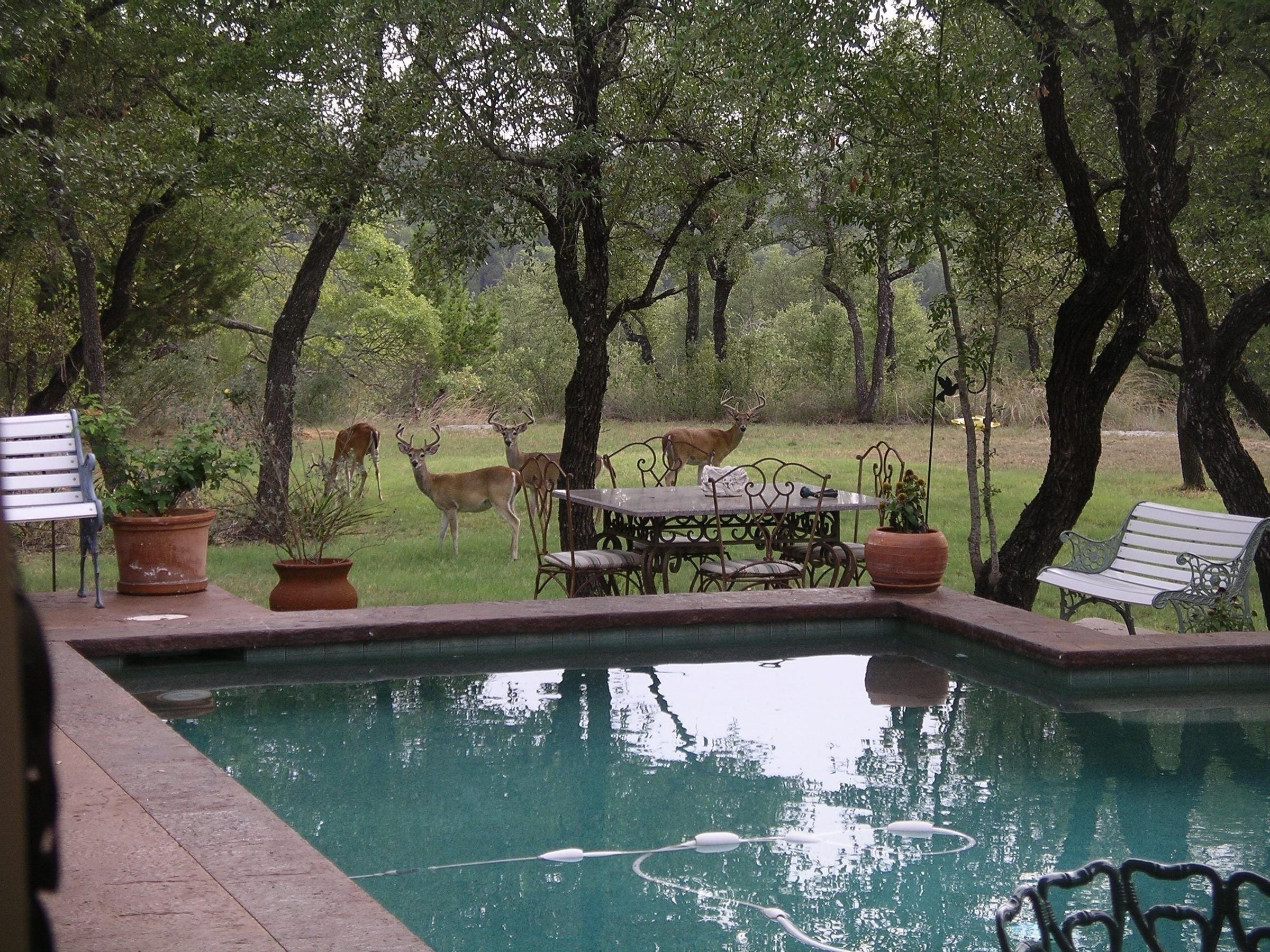 Pet Friendly Escalon Ranch