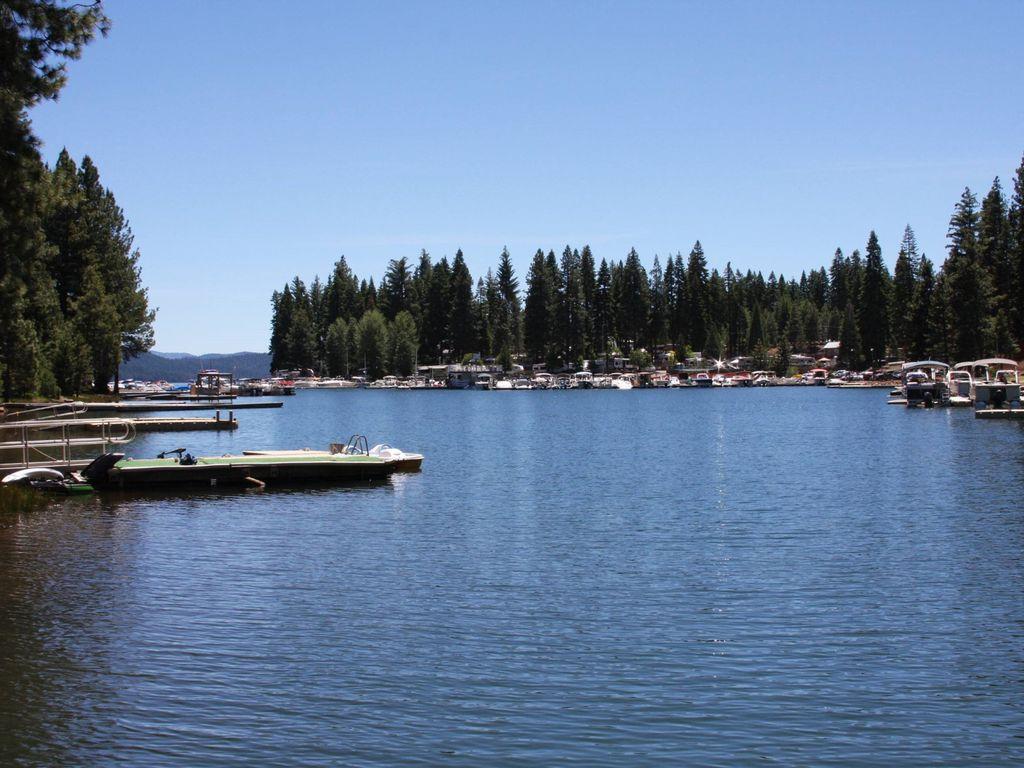 Pet Friendly Vacation Rentals In Lake Almanor Ca Bringfido