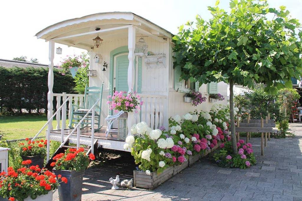 Pet Friendly Katwoude Airbnb Rentals