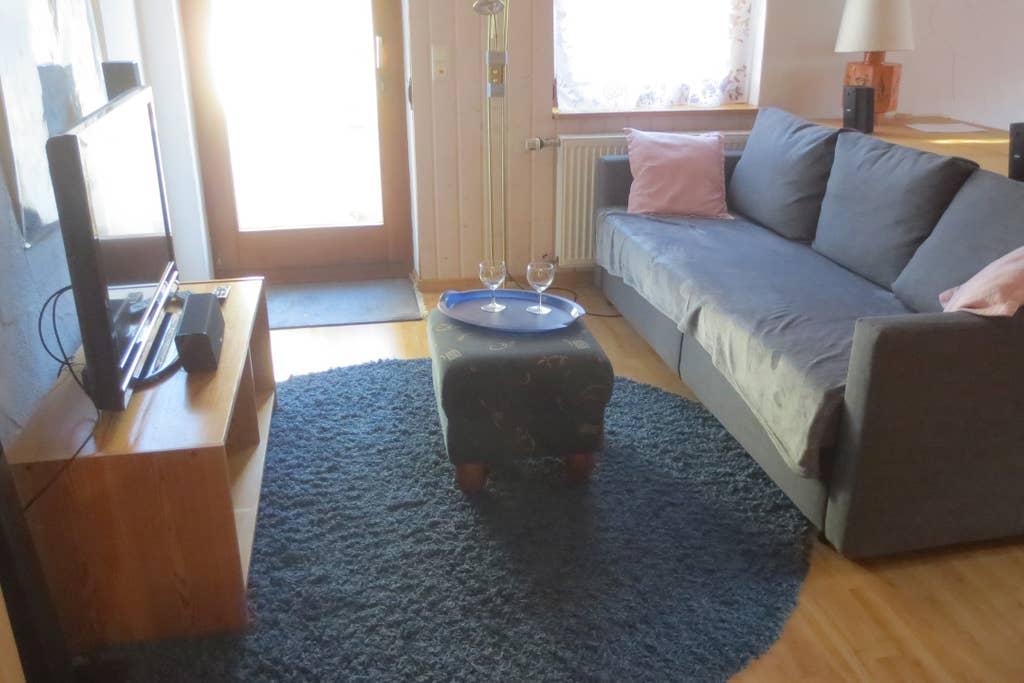 Pet Friendly Herrenberg Airbnb Rentals