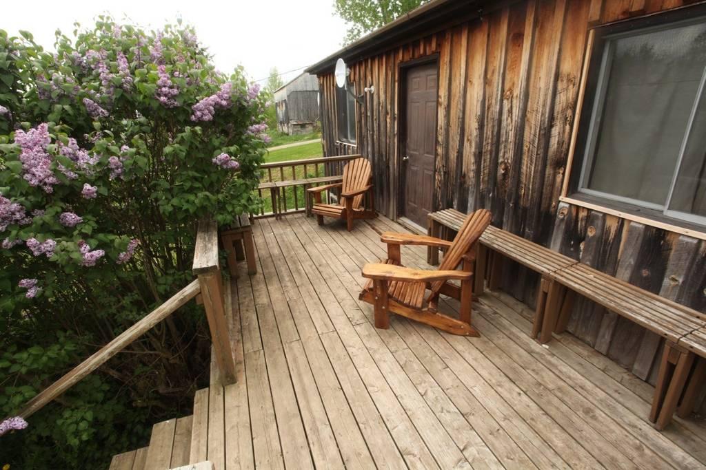 Walters Falls Airbnb Rentals Pet Policy