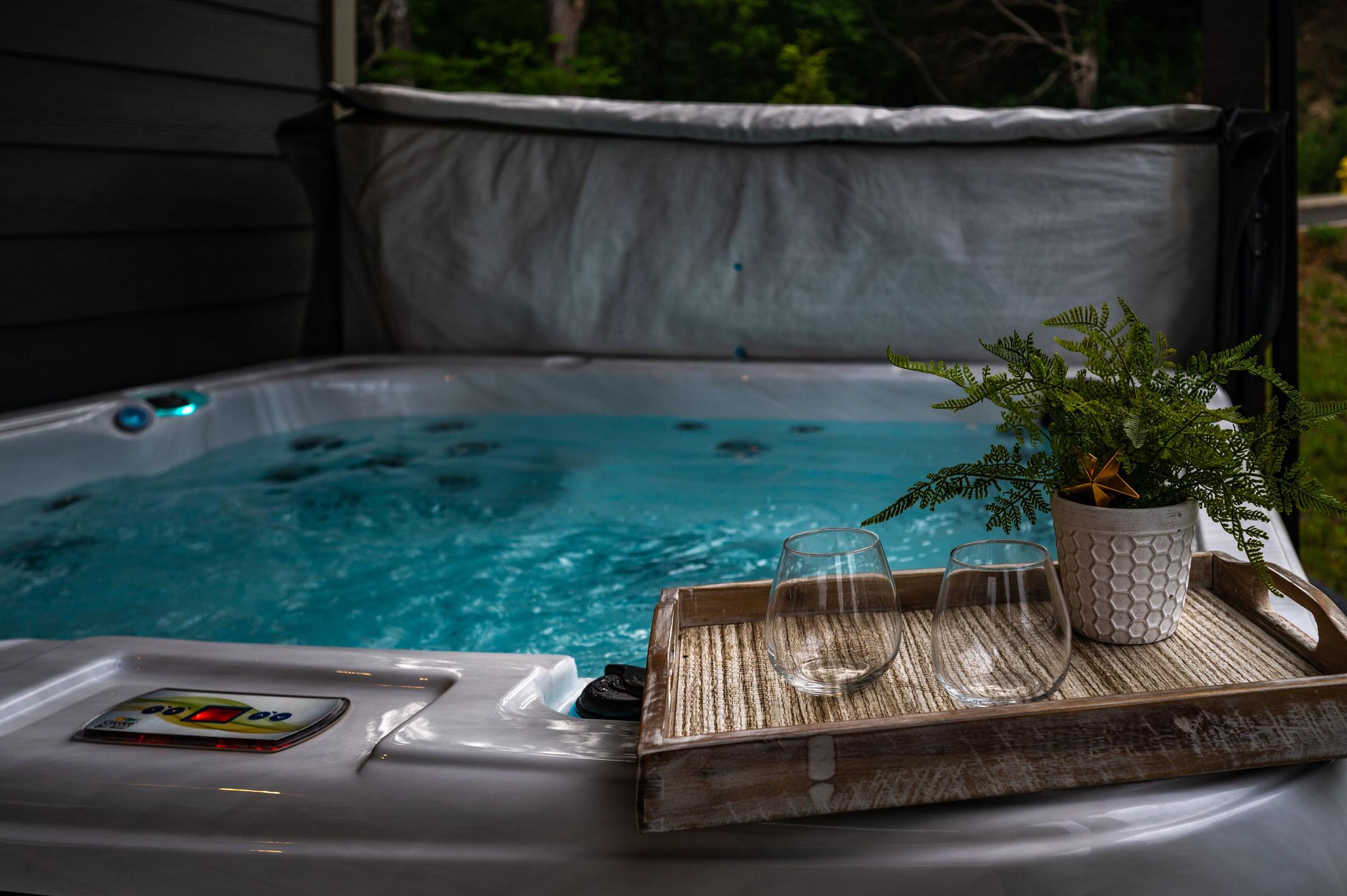 Into the Mystic Pet Policy