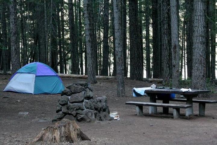 Pet Friendly Aspen Point Campground