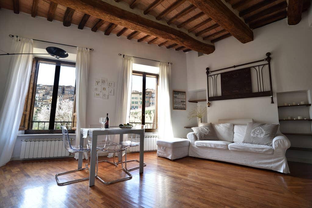 Pet Friendly Siena Airbnb Rentals