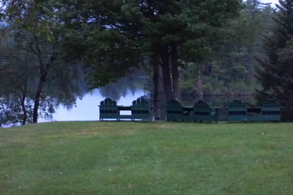 Pet Friendly Vacation Rentals in Whitefield, NH BringFido