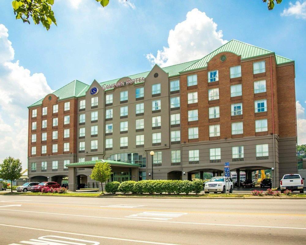 Pet Friendly Hotels In Newport Ky Bringfido