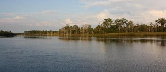 Picture of Ochlockonee River State Park Campground, a pet friendly campground in Sopchoppy, FL. Picture of Ochlockonee River State Park Campground, a pet friendly campground in Sopchoppy, FL.