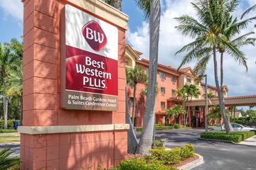 Pet-Friendly 5-Star Resorts Beach Gardens: Ultimate Escape 2 Pet-Friendly 5-Star Resorts Beach Gardens: Ultimate Escape