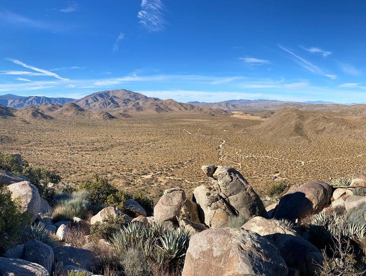 are dogs allowed at anza borrego state park