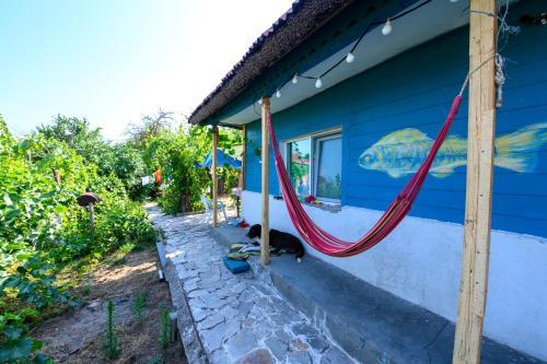 Pet Friendly Danube Delta Hostel Homestay & Camping
