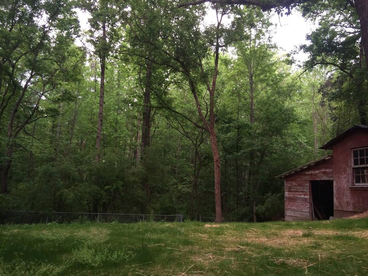 Dogwood Acres Boutique Apartment Pet Policy