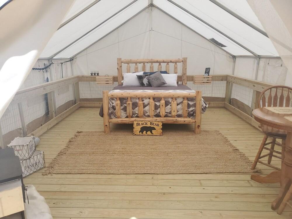 Pet Friendly Rrrc Black Bear Tent