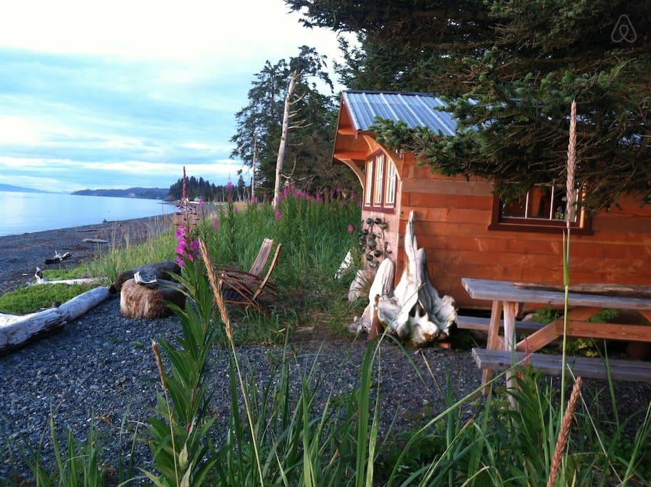 Seldovia Airbnb Rentals Pet Policy