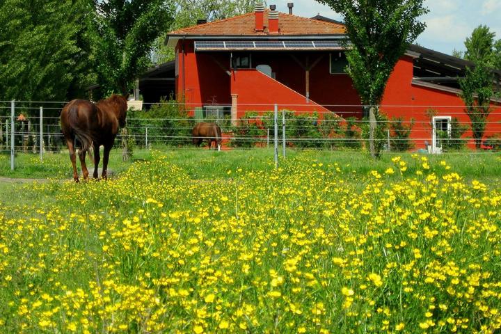 Pet Friendly 1-Bedroom Farmhouse in Badia Polesine