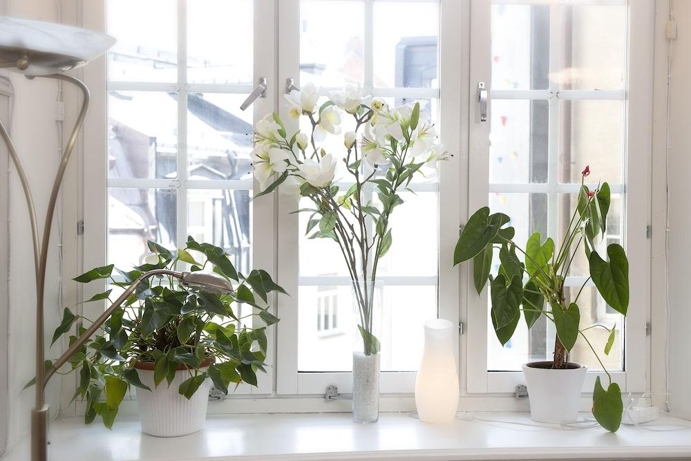 Hotel Emma Pet Policy