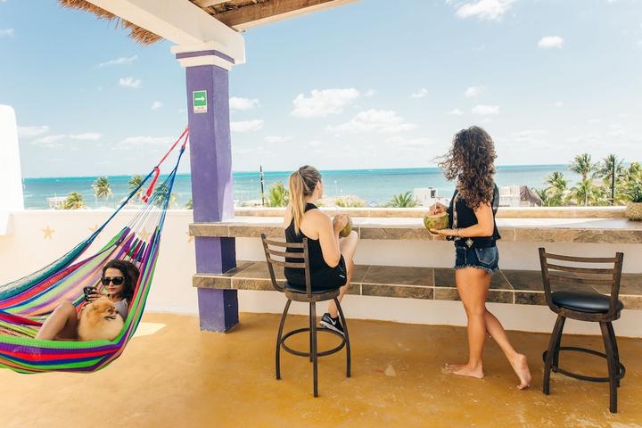 Pet Friendly The Mermaid Hostel Beach - Adults Only