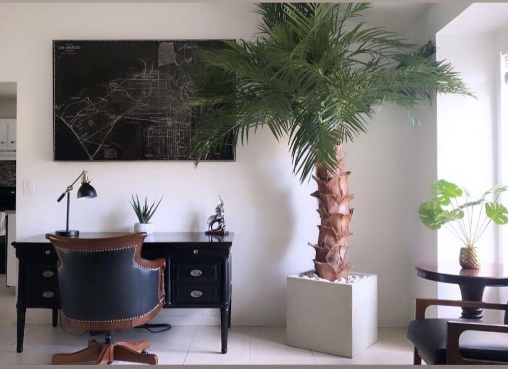 Lake View West Boca Raton Pet Policy