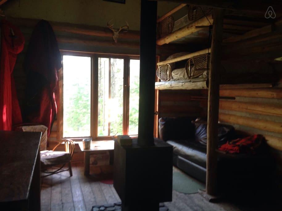 Pet Friendly Columbia Falls Airbnb Rentals