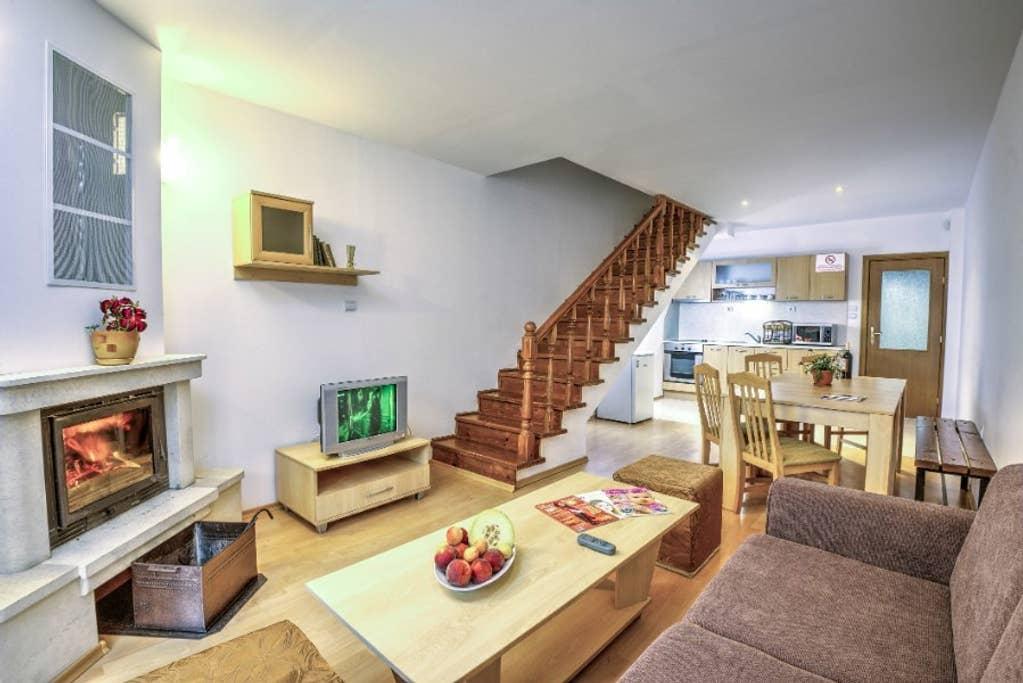 Pet Friendly Pamporovo Airbnb Rentals