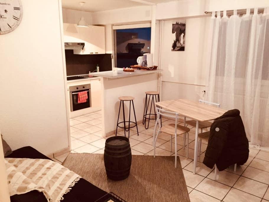 Pet Friendly Forbach Airbnb Rentals